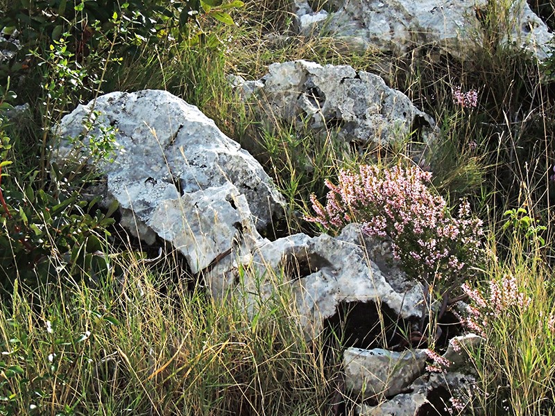 Konavle Valley8